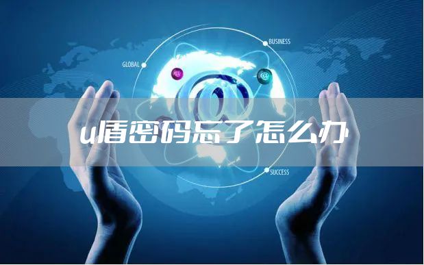 u盾密码忘了怎么办