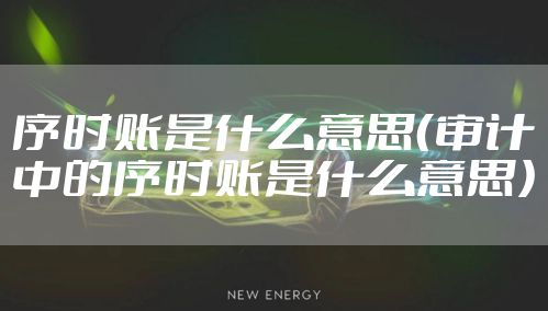 序时账是什么意思（审计中的序时账是什么意思）