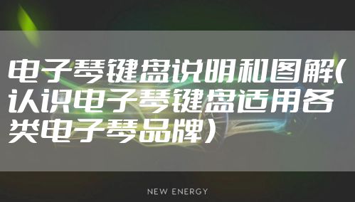 电子琴键盘说明和图解（认识电子琴键盘适用各类电子琴品牌）