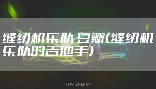 缝纫机乐队 豆瓣（缝纫机乐队的吉他手）