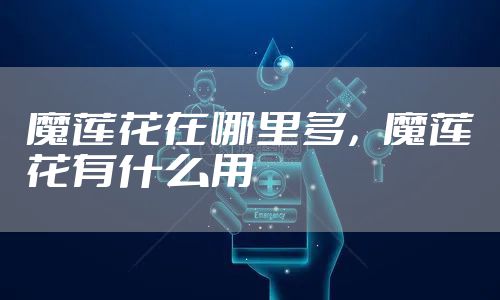 魔莲花在哪里多，魔莲花有什么用