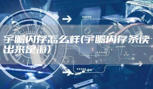 宇瞻内存怎么样(宇瞻内存条读出来是海)