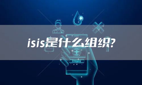 isis是什么组织？
