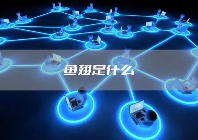 鱼翅是什么
