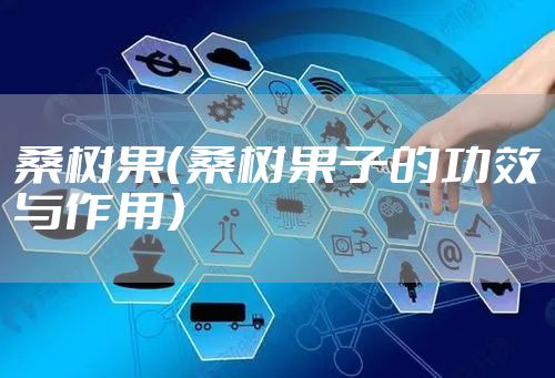 桑树果（桑树果子的功效与作用）