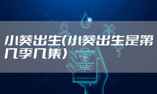 小葵出生（小葵出生是第几季几集）