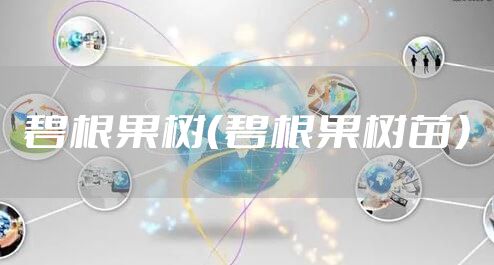 碧根果树（碧根果树苗）