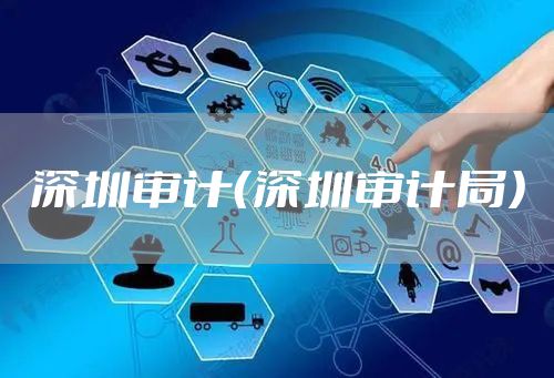 深圳审计（深圳审计局）