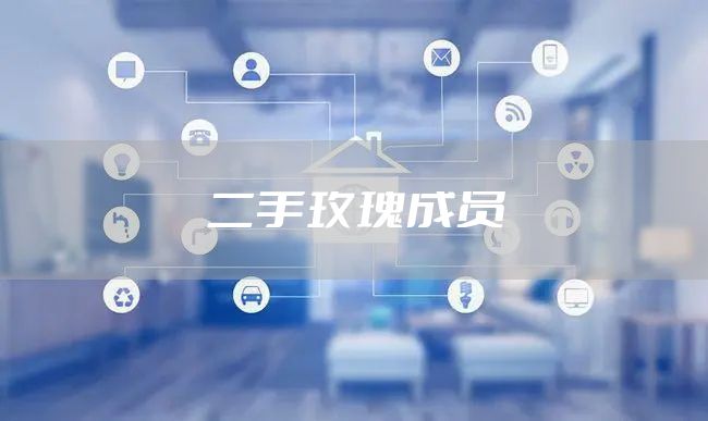 二手玫瑰成员