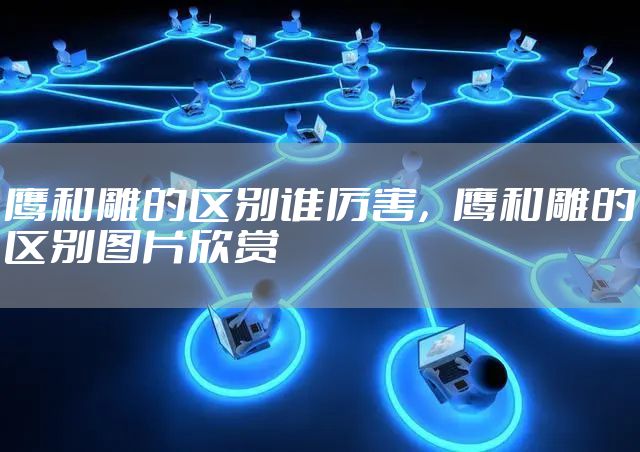鹰和雕的区别谁厉害，鹰和雕的区别图片欣赏
