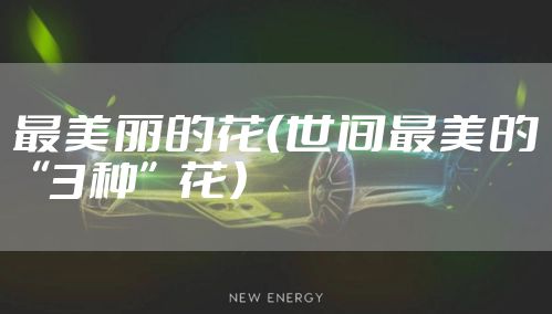 最美丽的花（世间最美的“3种”花）