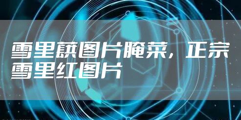 雪里蕻图片腌菜，正宗雪里红图片