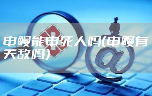 电鳗能电死人吗（电鳗有天敌吗）