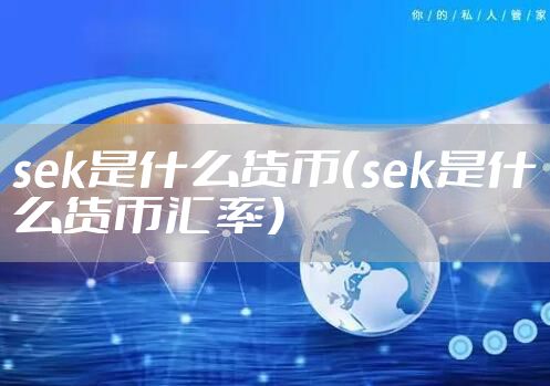 sek是什么货币（sek是什么货币汇率）