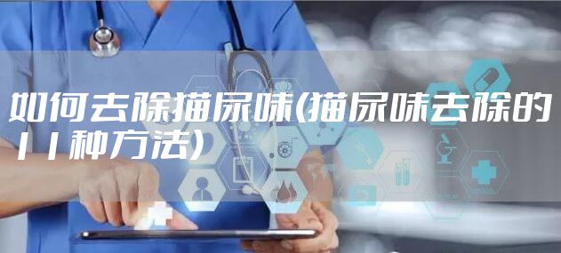 如何去除猫尿味(猫尿味去除的11种方法)