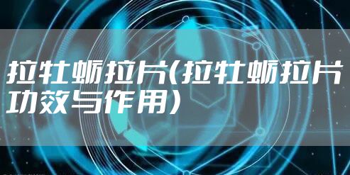 拉牡蛎拉片（拉牡蛎拉片功效与作用）