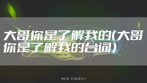 大哥你是了解我的（大哥你是了解我的台词）
