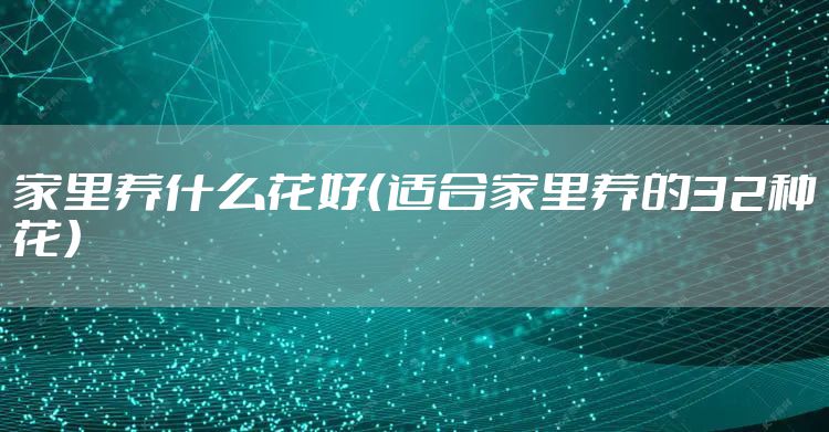 家里养什么花好（适合家里养的32种花）