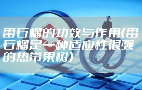 番石榴的功效与作用（番石榴是一种适应性很强的热带果树）