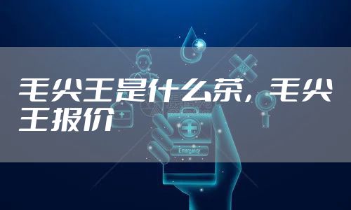 毛尖王是什么茶，毛尖王报价
