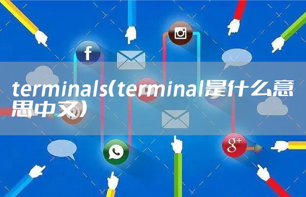 terminals（terminal是什么意思中文）