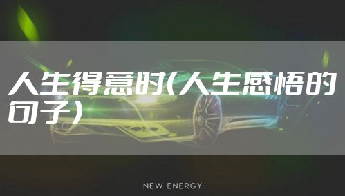 人生得意时（人生感悟的句子）