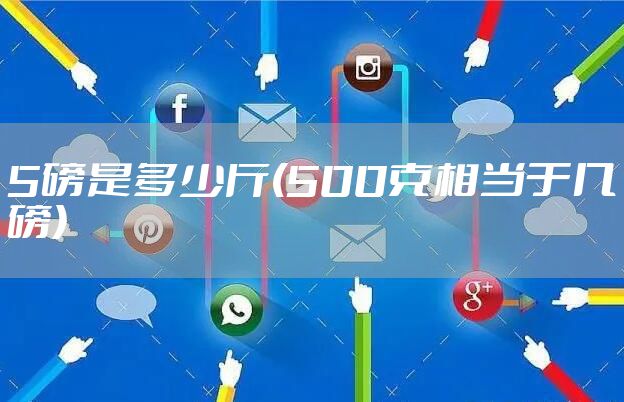 5磅是多少斤(500克相当于几磅)