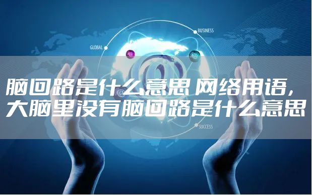 脑回路是什么意思 网络用语，大脑里没有脑回路是什么意思