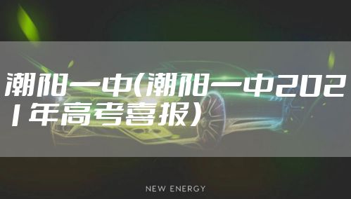 潮阳一中（潮阳一中2021年高考喜报）