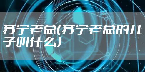 苏宁老总（苏宁老总的儿子叫什么）