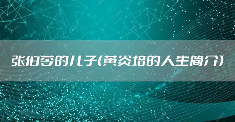张伯苓的儿子（黄炎培的人生简介）