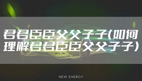 君君臣臣父父子子（如何理解君君臣臣父父子子）