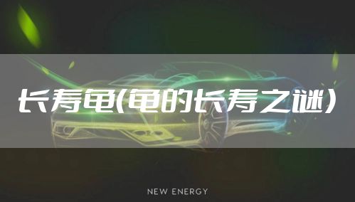 长寿龟（龟的长寿之谜）