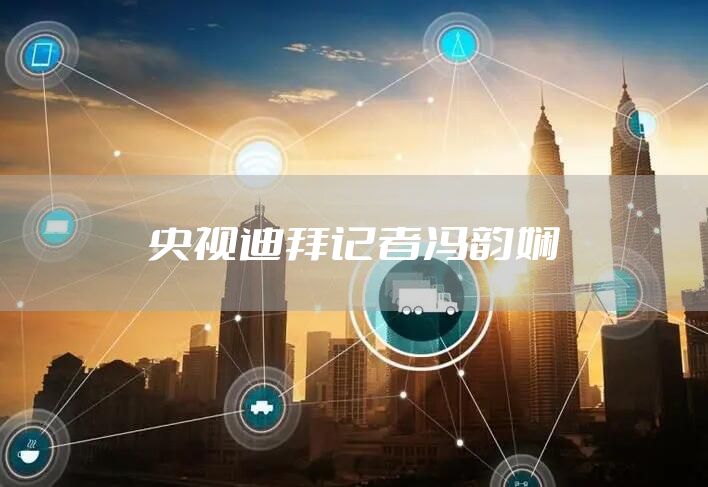 央视迪拜记者冯韵娴