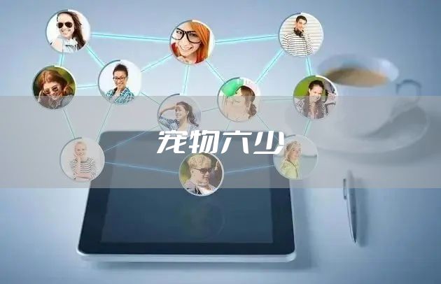 宠物六少