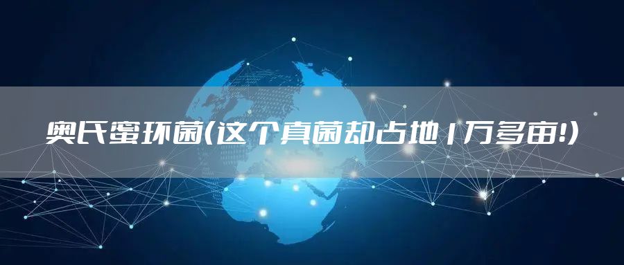 奥氏蜜环菌（这个真菌却占地1万多亩！）