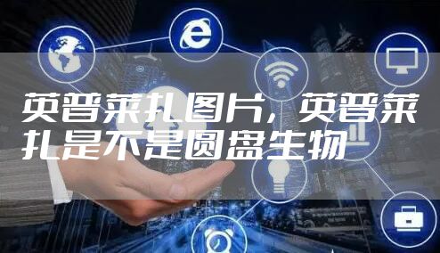 英普莱扎图片，英普莱扎是不是圆盘生物