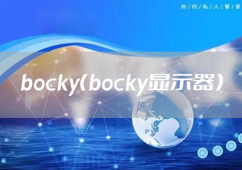 bocky（bocky显示器）
