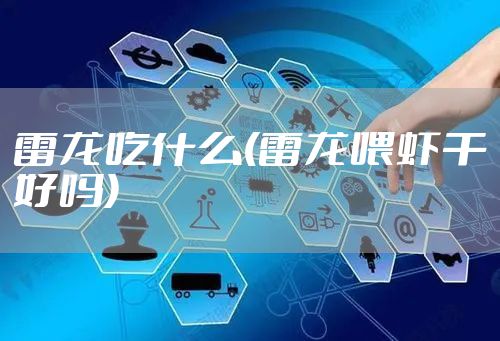 雷龙吃什么(雷龙喂虾干好吗)