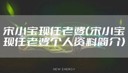 宋小宝现任老婆（宋小宝现任老婆个人资料简介）