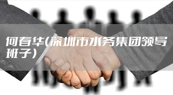 何春华（深圳市水务集团领导班子）