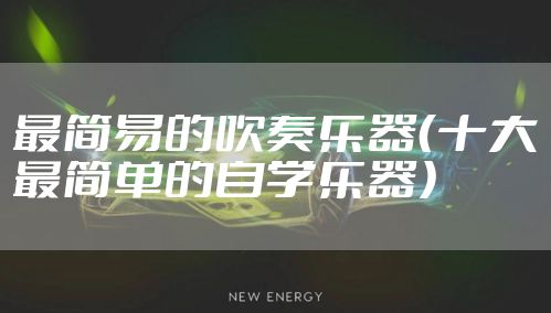 最简易的吹奏乐器（十大最简单的自学乐器）