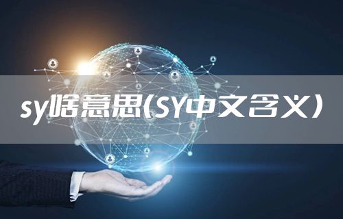 sy啥意思（SY中文含义）