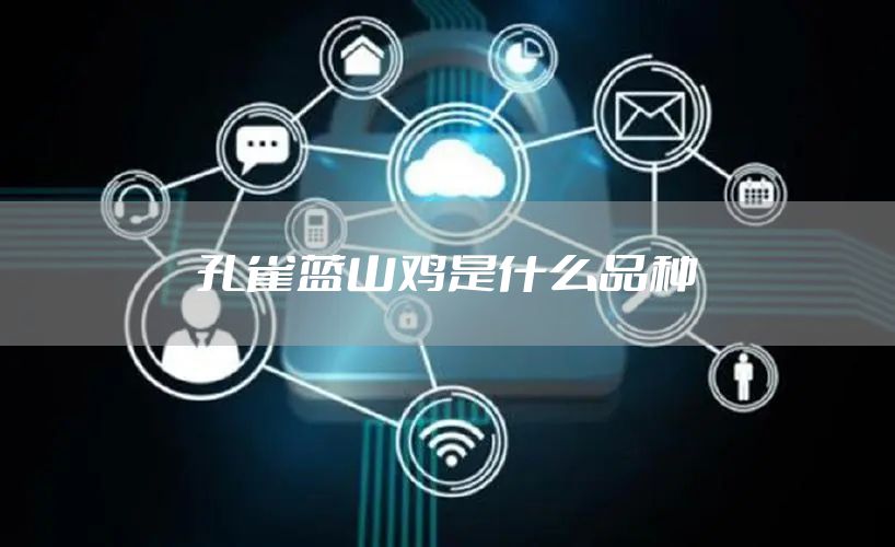 孔雀蓝山鸡是什么品种