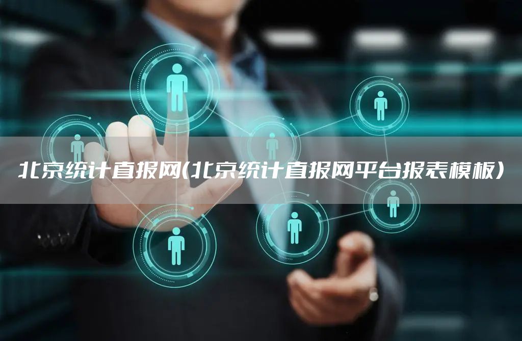 北京统计直报网（北京统计直报网平台报表模板）