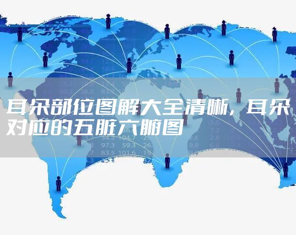 耳朵部位图解大全清晰，耳朵对应的五脏六腑图