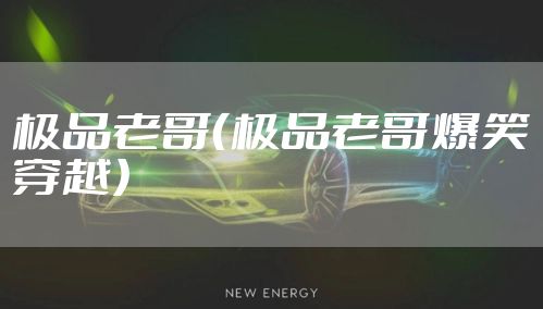 极品老哥（极品老哥爆笑穿越）