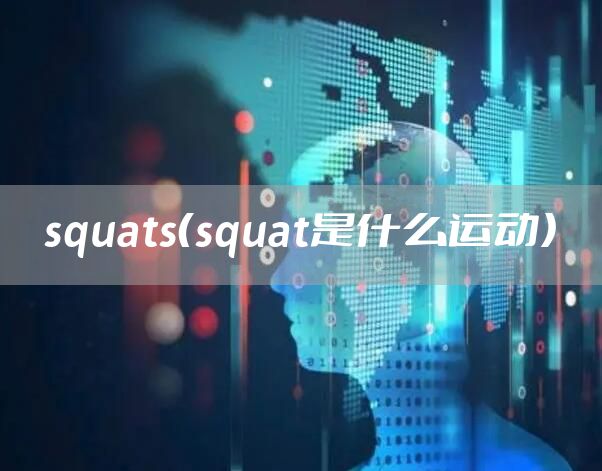 squats（squat是什么运动）