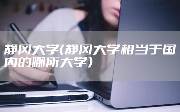 静冈大学（静冈大学相当于国内的哪所大学）