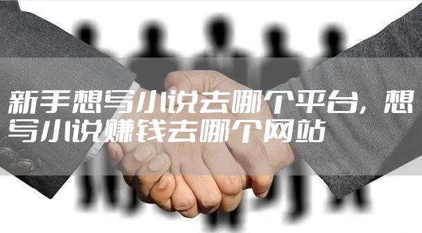 新手想写小说去哪个平台，想写小说赚钱去哪个网站